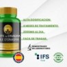 PHYTOFARMA Evening Primrose Oil 450 soft capsules