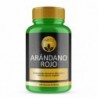 PHYTOFARMA Cranberry 225 Kapseln