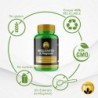 PHYTOFARMA Magnesium Bisglycinate 300 vegetable capsules