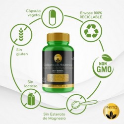 PHYTOFARMA Kollagen + Hyaluronsäure 60 Kapseln