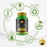 PHYTOFARMA Colágeno + ácido hialurónico 60 cápsulas