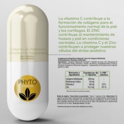 PHYTOFARMA Kollagen + Hyaluronsäure 60 Kapseln