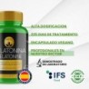 PHYTOFARMA Melatonin 225 Kapseln
