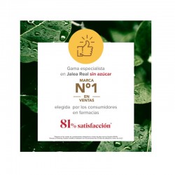 ARKOREAL Gelée Royale Énergétique au Ginseng Sans Sucre 500mg