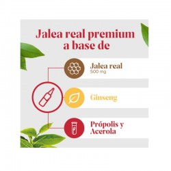 ARKOREAL Jalea Real Energía con Ginseng Sin Azúcar 500mg