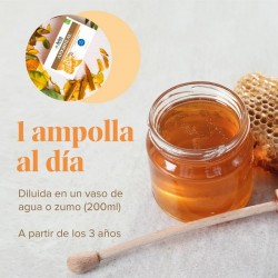 ARKOREAL Gelée Royale Vitadefensas Sans Sucre 1000mg