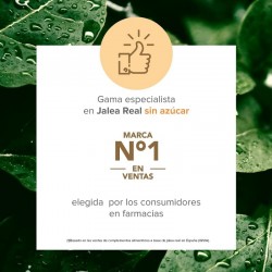 ARKOREAL Gelée Royale Vitadefensas Sans Sucre 1000mg