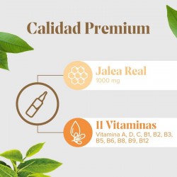 ARKOREAL Gelée Royale Vitadefensas Zuckerfrei 1000mg