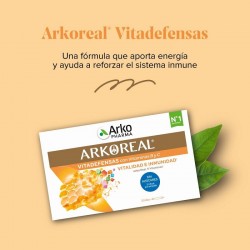 ARKOREAL Geleia Real Vitadefensas Sem Açúcar 1000mg