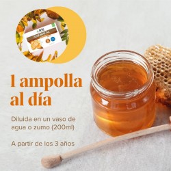 ARKOREAL Geléia Real 1500mg Sem Açúcar 20 ampolas