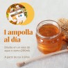 ARKOREAL Geléia Real 1500mg Sem Açúcar 20 ampolas