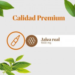 ARKOREAL Geléia Real 1500mg Sem Açúcar 20 ampolas