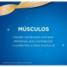 ENSURE NutriVigor Chocolate Polvo 850gr + 400G REGALO