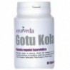 Ayurveda Gotukola 60 Kapseln