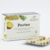 Betula Pectus 30 Capsules