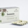 Betula Somnia 30 capsule
