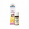 Biofloral Complexe Enfant Ange Gardien (Peurs et Insécurité) Fleurs de Bach Bio Granulés Sans Alcool 9 gr