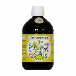 Biolasi Bio Sant Joseph U/R Pinto (Renal) 365 ml