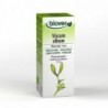 Estratto di Vischio Biover (Viscum Album) 50 ml
