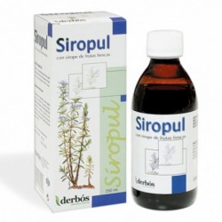 Derbos Siropul Syrup 250 ml