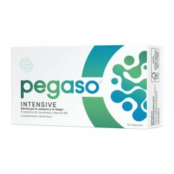 Pegaso Intensif 14 Gélules