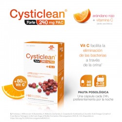 CYSTICLEAN Forte 240mg PAC 30 Kapseln