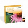 Derbos Imunit 20 Ampoules