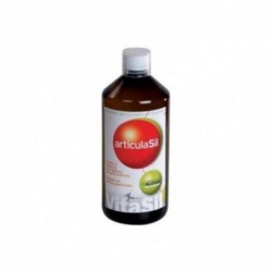 Dexsil Vitasil Articulasil Huiles Essentielles 1 L