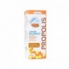 Drasanvi Sciroppo Balsamico Propoli 250 ml