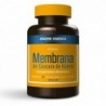 Enzime - Sabinco Eggshell Membrane 30 Capsules