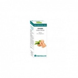 Equisalud Bio Essential Oils Huile Essentielle de Gingembre 10 ml