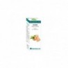 Equisalud Bio Essential Oils Huile Essentielle de Gingembre 10 ml