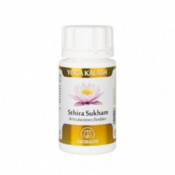 Equisalud Yoga Kalash Sthira-Sukham 60 capsule 750 mg