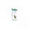 Equisalud Óleo Essencial Bio Cipres 10 ml