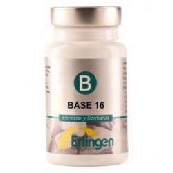 Erlingen Base 16 60 Tablets