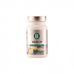 Erlingen Base 2 P 60 Tablets