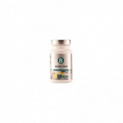 Erlingen Base 3 Qh 60 Tablets