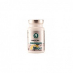 Erlingen Base 4 C 60 Tablets
