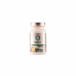 Erlingen Base 8 60 Tablets
