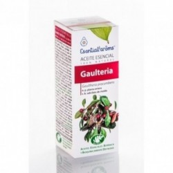 Esential Aroms Gaultheria Ätherisches Öl 10 ml