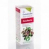 Esential Aroms Gaultheria Essential Oil 10 ml