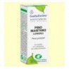 Esential Aroms Landes Ätherisches Öl der Strandkiefer, 10 ml