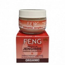 Feng Shui Ginger Balm Ointment 50 ml