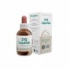 Forza Vitale Sys Liquirizia Lakritze 50 ml