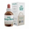Forza Vitale Sys Ginkgo Biloba 50 ml