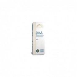 Forza Vitale Germen Di Grano Plus Sciroppo 100 ml