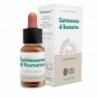Forza Vitale Quinta Essence Romarin 10 ml