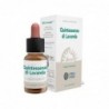 Forza Vitale Quinta Esencia Lavanda Espliego 10 ml
