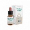 Forza Vitale First Essence Cajeput Complex 10 ml