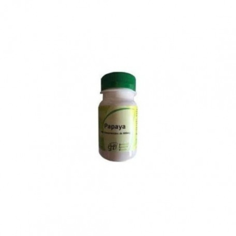 Ghf Papaye 600 mg 100 Comprimés Ghf Papaye 600 mg 100 Comprimés